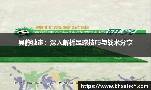 吴静独家：深入解析足球技巧与战术分享